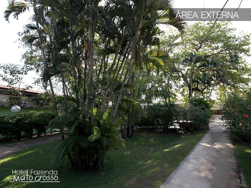 Hotel Fazenda Mato Grosso Cuiabá Exteriör bild